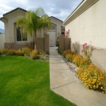 thumb_1084_house3.jpg