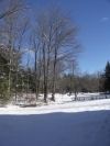 thumb_1510_postingphoto996474824.jpg