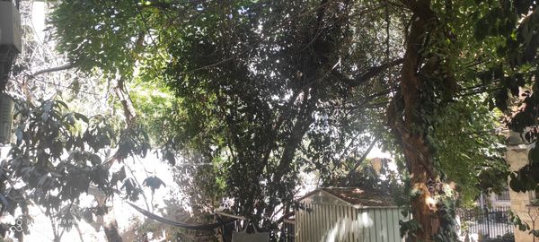 Talbiya Ground Floor – Garden & Sukkah